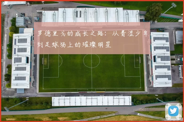 罗德里戈的成长之路：从青涩少年到足球场上的璀璨明星